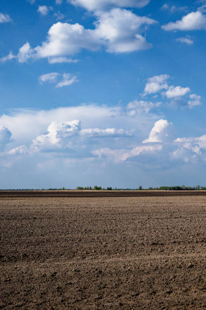 istock Wide open field with rich, brown, ploughed earth. 2155316305