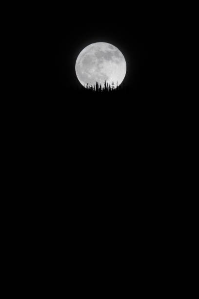A view of the full moon rising over the mountain near Nelson, British Columbia, Canada.