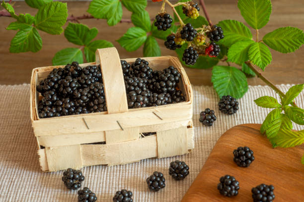 Blackberries in basket with decoration