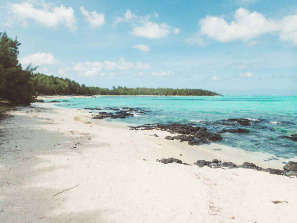 istock A sandy beach next to the water 2155319851