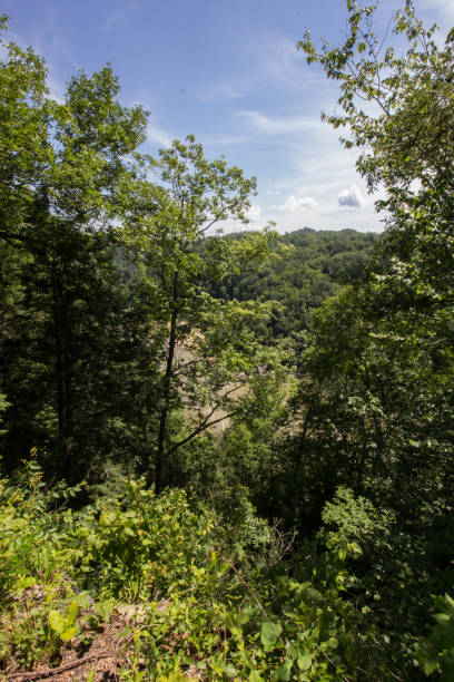 istock Views from the Eagle Falls Trail, Cumberland Falls State Park, Kentucky 2155322175