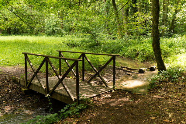 Small wooden bridge over a stream in the forest in springtime.