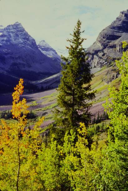istock Beautiful Views while CLimbing Maroon Bells Colorado in September 1981 2155325770