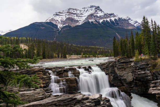 Middle Spring Alberta 22,800+ Alberta Spring Stock Photos, Pictures & Royalty-Free Images ...