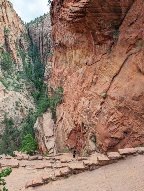 istock Walter's Wiggles in Zion National Park, Utah 2155333470