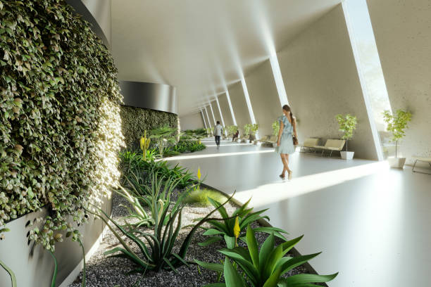 Modern sustainable interior design Sustainable and modern interior design with vertical garden. (3d render) green home decor stock pictures, royalty-free photos & images