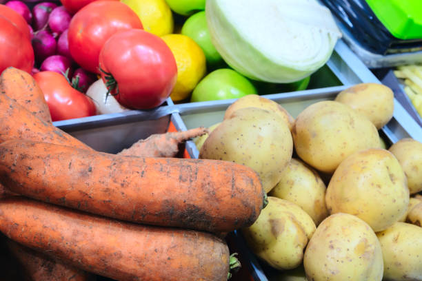 Various fresh vegetables, tomatoes, carrots, cabbage, long cabbages
