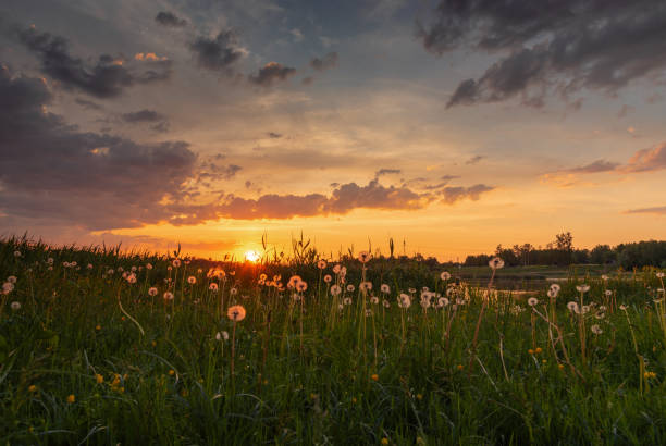 istock Sunset on Daugava river in Kekava, Latvia 2155343678