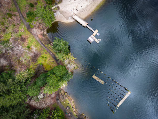 istock Todd Inlet, Vancouver Island, Drone Image 2155344473