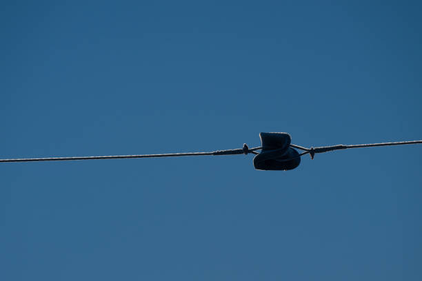 A cluster of disconnected and unused telephone wires hang from an equipment box on a utility cable.