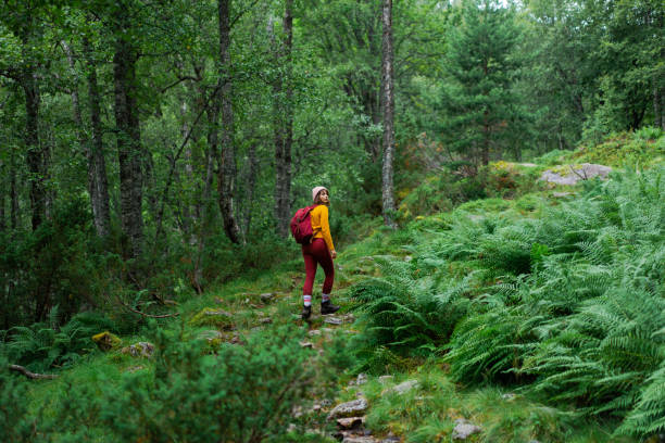 istock Woman hiking through dense forest in Norway 2155349006