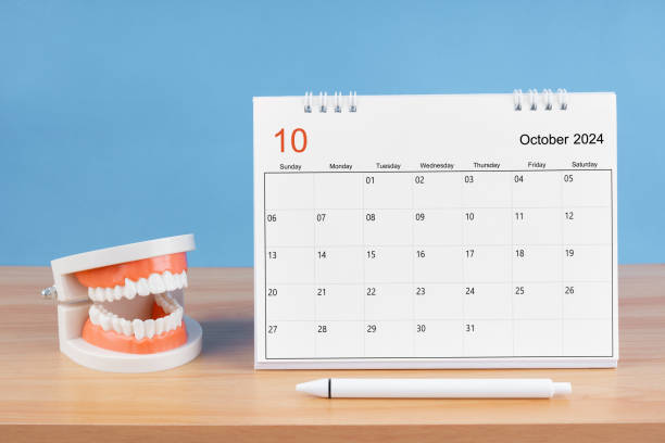 istock October monthly desk calendar for 2024 year and model dentures on the table. 2155351863