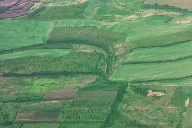 Airplane flying high above a field of lush green grass. Natural green background