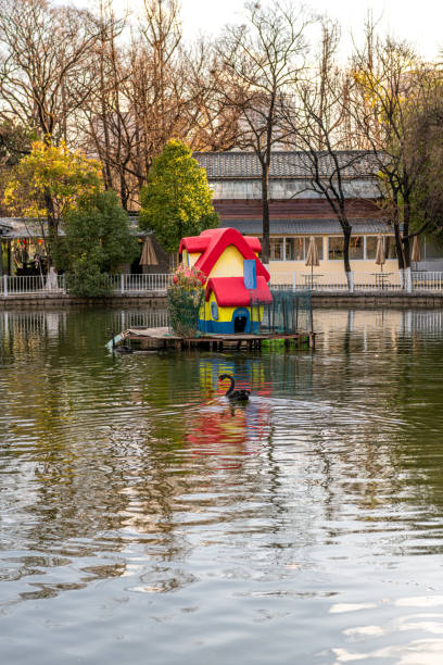 Swan house sat the lake in Kunming, China. Copy space for text