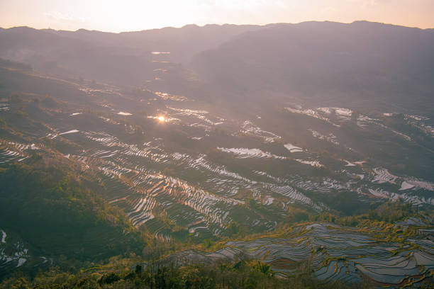 The rice terraces at Bada site in Yuanyang county, China. Bada Rice Terraces cover an area of 950 hectare with over 3700 levels, rising up from 800 meters to 2000 meters