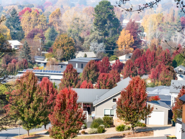 istock Suburban houses and air pollution 2155356555