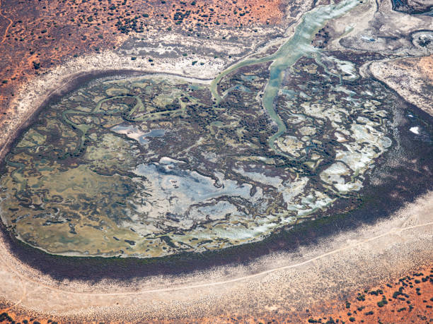istock Aerial view of coastal swamp 2155356659