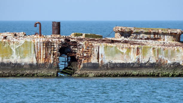istock World War II Era Concrete Ships at Kiptopeke State Park 2155357903