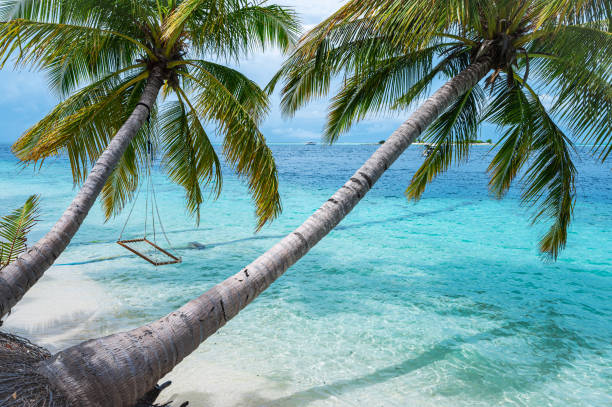 istock Coconut palm trees and beautiful sea on tropical paradise beach 2155359705