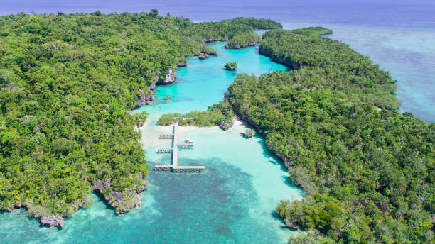 istock Blue turquoise water sea island with green tree summer vacation background by drone 2155362099
