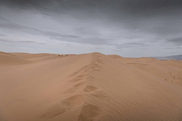 Close up background on the desert sand in Inner Mongolia, China. Golden sand wallpaper with copy space for text