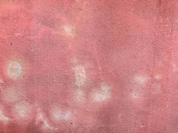 istock a photography of a red wall with a fire hydrant and a fire hydrant. 2155366194