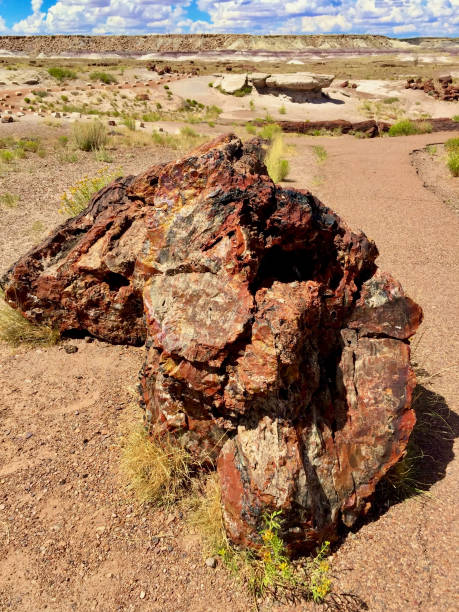 Blue Mesa Scenic Trail, Petrified Forest National Park, Arizona, USA