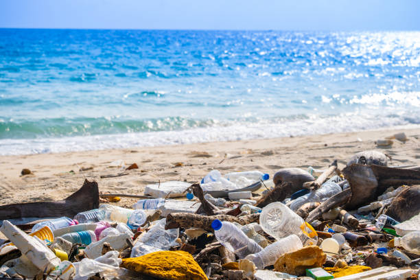 istock trash, plastic cups and plastic bags at the beach. environmental problem concept and healing the world 2155369918