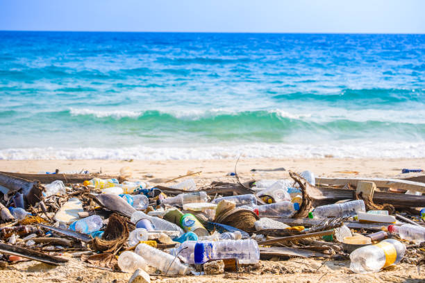 istock trash, plastic cups and plastic bags at the beach. environmental problem concept and healing the world 2155369920