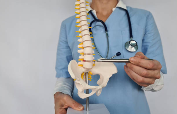 istock Doctor Pointing to Lumbar Vertebrae on Spine Model 2155370002