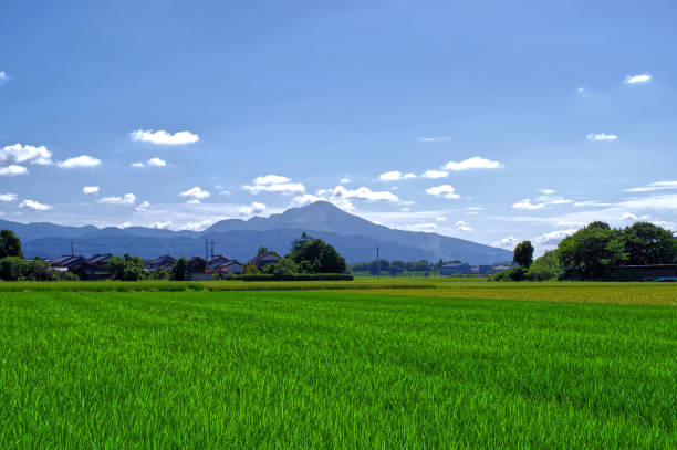 istock Summer in the Japanese Countryside 2155371122