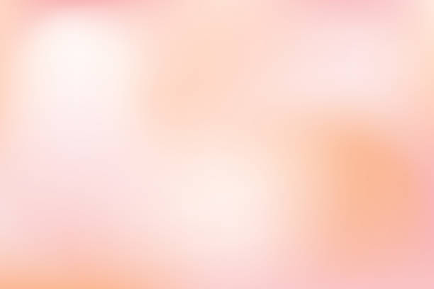 pozadí nahého přechodu. hnědá barevná gradace. neutrální béžová krémová textura. abstraktní měkký pastel vektorový rozmazaný design. luxusní teplé šampaňské pozadí. - béžové pozadí stock ilustrace