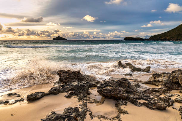 Early light on rocks on beach