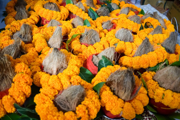 istock Kalash with coconut and mango leaf with floral decoration earthen pots containing sacred water. Kalash for hindu puja during Jagannath Temple Mangal Kalash Yatra, front view, closeup 2155375392