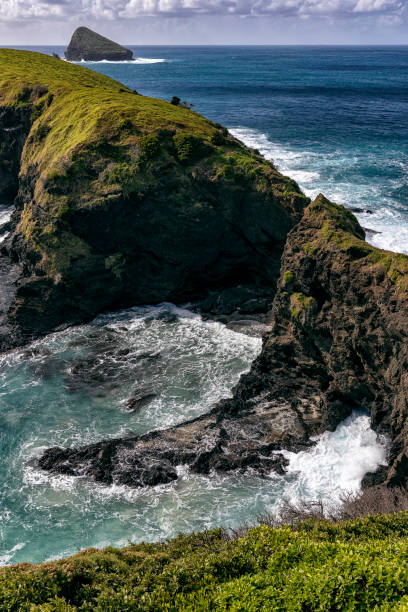 istock Mutton Bird Island, Lord Howe island, Australia 2155375977