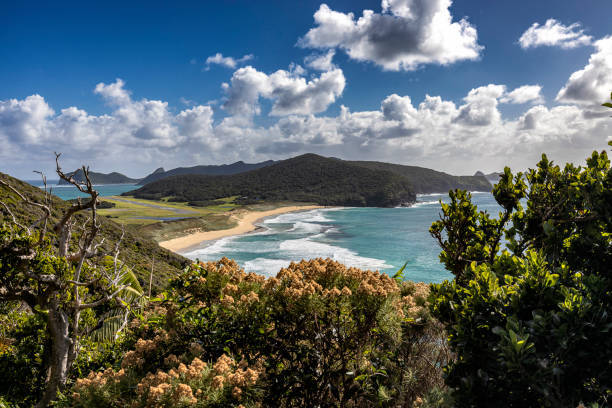 widok na północ z okolic mutton bird island, wyspa lord howe, australia - wyspy lord howe zdjęcia i obrazy z banku zdjęć