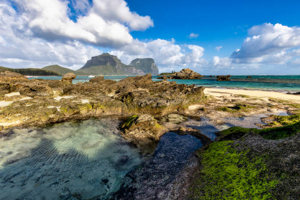 istock Signal Point, Lord Howe Island, Australia 2155376046