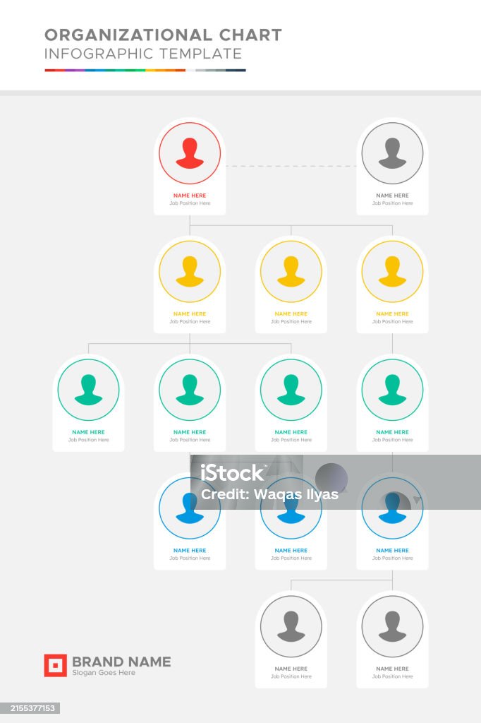 Organizational Chart Tree Diagram Dendrogram Business Infographic ...