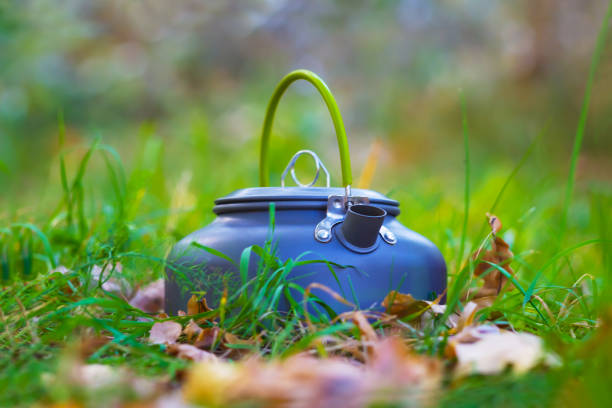 closeup small teapot stay on green grass in forest
