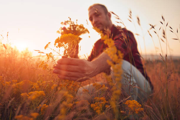 istock Man picking and holding field flowers in nature. 2155378977