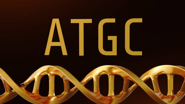 istock Gold ATGC letters and gold DNA helix 2155383016