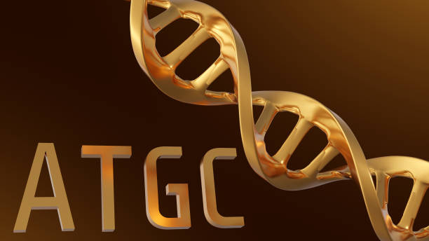 istock Gold ATGC letters and gold DNA helix 2155383025