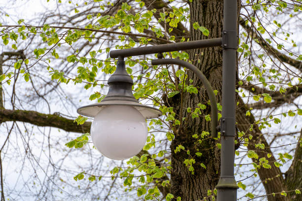 istock Round lamp on a pole in the park. 2155384954