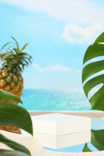 The rectangle pedestal placed on the white sand side with green monstera leaves and a pineapple decorated around, blue sea, light sky and white cloud as a background. Copy space for text, front view