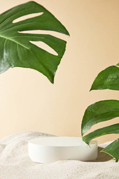 istock Minimalist style photo on yellow background from front view with a blank circular podium placed in center of white sand side, decorated with some leaves of tropical plant. Presentation and copy space 2155391083