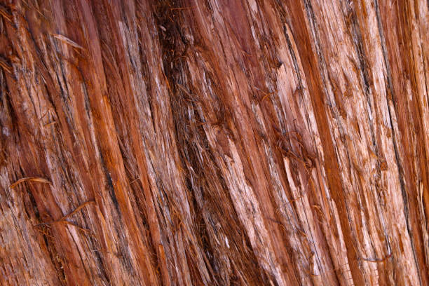 This photo showcases a close-up view of the intricate pattern and texture of a piece of wood. The details of the wood grains and knots are prominently displayed, creating a visually interesting image.