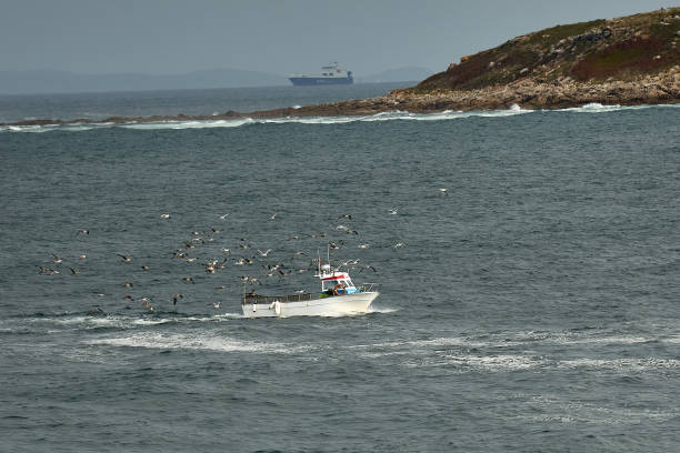 istock Fishing boat pursued by seagulls with distant cargo ship 2155394261