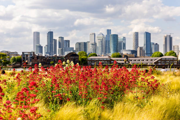 Colorful plants in modern urban space