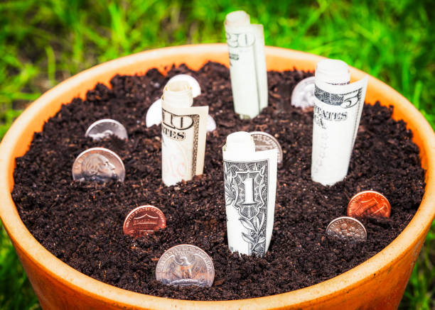 istock Investing for the future 2155399985
