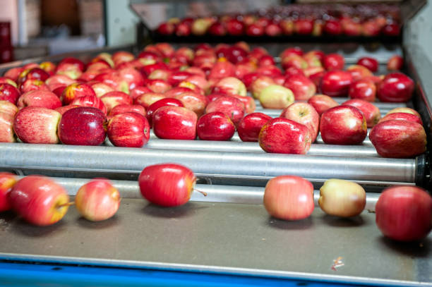istock Blurred movement of apples on a conveyor belt at a processing and distribution plant 2155401874